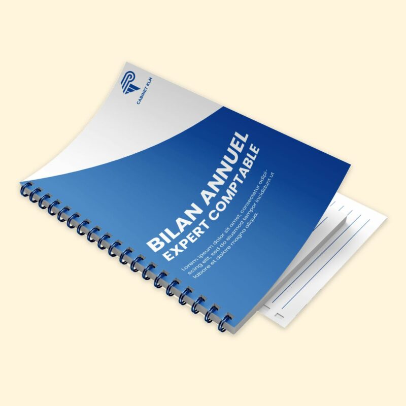 Related balance sheet expert accountant